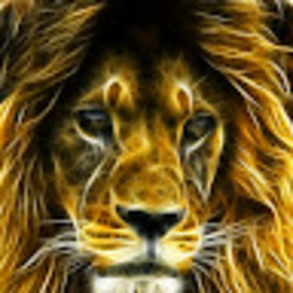 Meet the Posher Other - Meet your Posher, Desmond m.